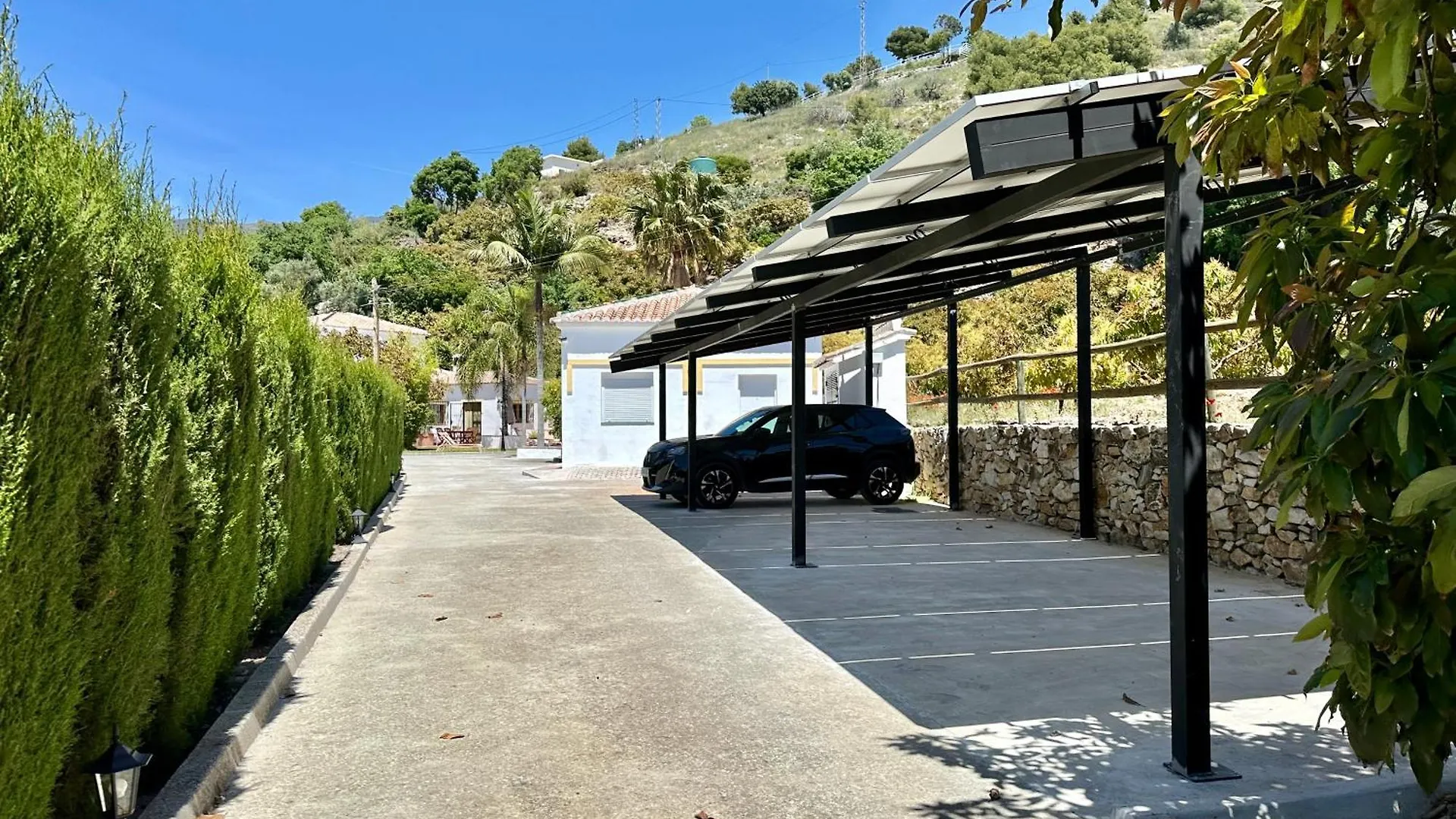 Bed & Breakfast Casa Del Palta Canillas de Albaida Spain