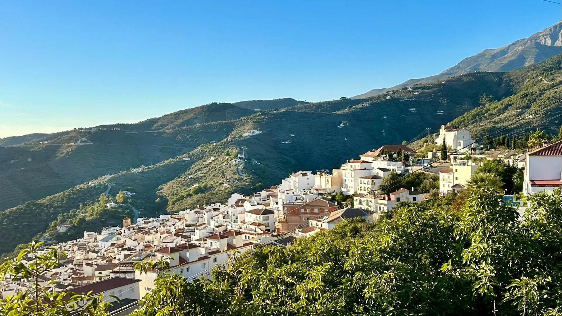 Bed & Breakfast Casa Del Palta Canillas de Albaida Spain