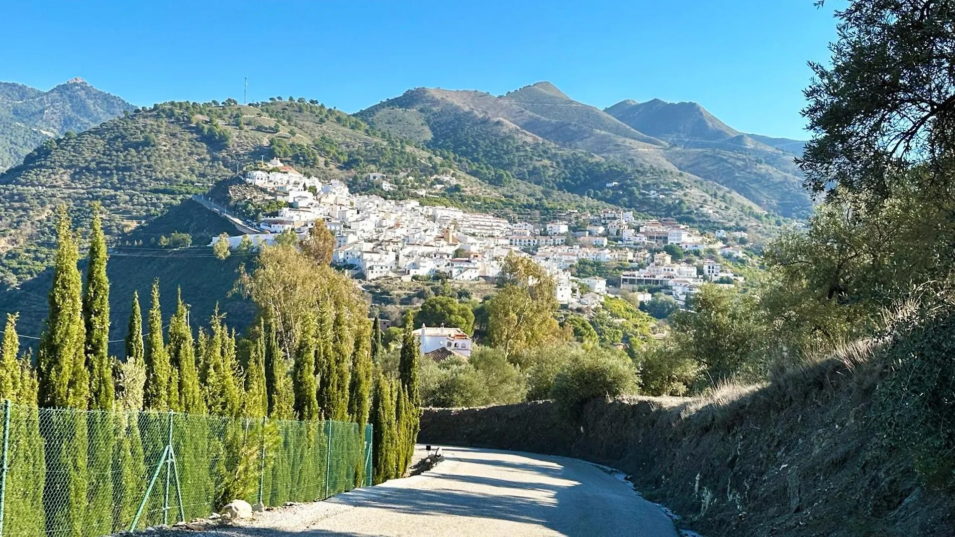 Bed & Breakfast Casa Del Palta Canillas de Albaida Spain